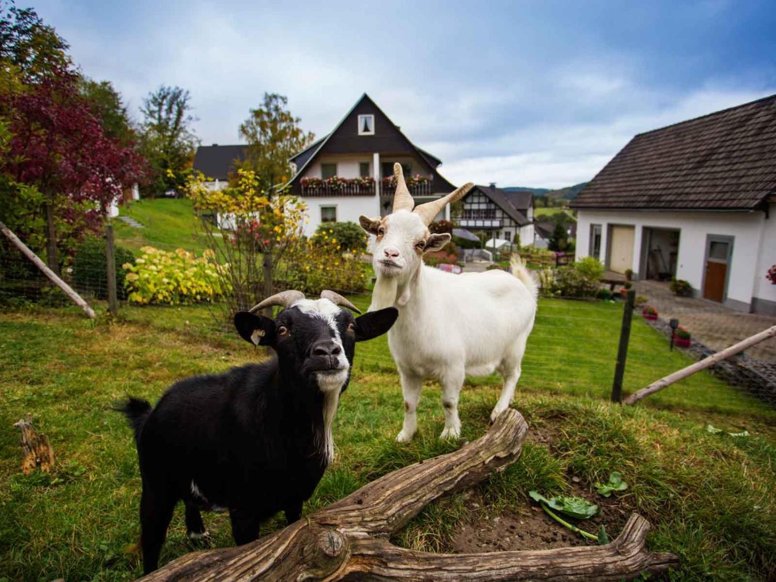Kornkammer Schmallenberg Kültér fotó