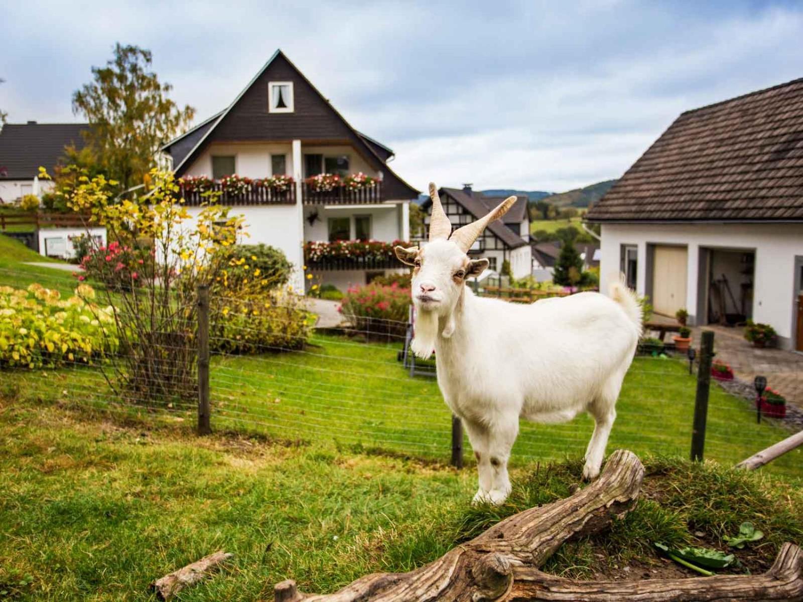 Kornkammer Schmallenberg Kültér fotó